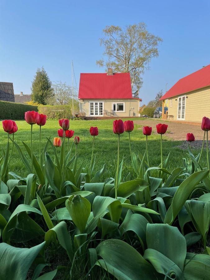 Villa Orissaare Dış mekan fotoğraf